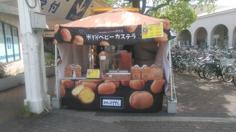写真1