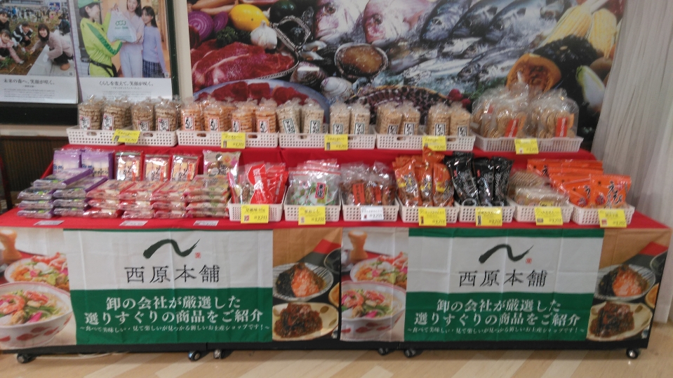 写真1