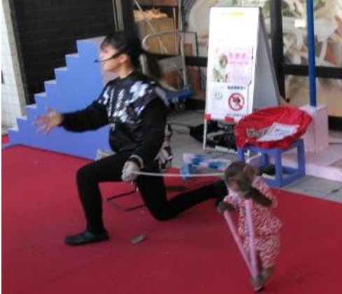 写真1